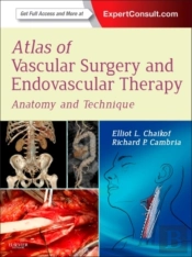 Atlas Of Vascular Surgery And Endovascular Therapy