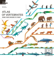 Atlas Of Vertebrates ; From Their Origins To Today