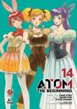 Atom: The Beginning