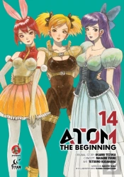 Atom: The Beginning