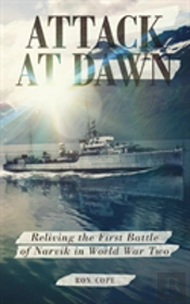 Attack At Dawn: Reliving The Battle Of Narvik In World War Ii
