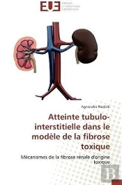 Atteinte Tubulo-Interstitielle Dans Le Modele De La Fibrose Toxique