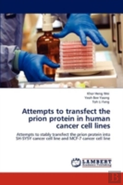 Bertrand.pt - Attempts To Transfect The Prion Protein In Human Cancer Cell Lines