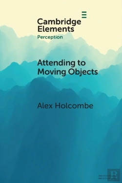Bertrand.pt - Attending To Moving Objects