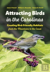 Attracting Birds In The Carolinas