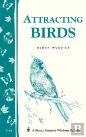Attracting Birds