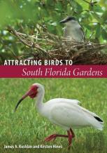 Attracting Birds To South Florida Gardens