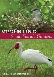 Attracting Birds To South Florida Gardens