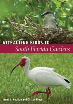 Bertrand.pt - Attracting Birds To South Florida Gardens