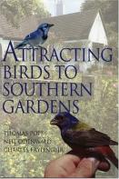 Attracting Birds To Southern Gardens