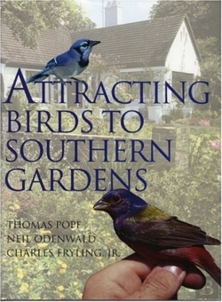 Bertrand.pt - Attracting Birds To Southern Gardens