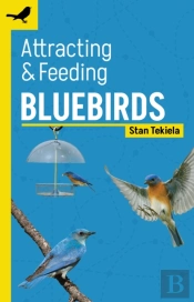 Attracting & Feeding Bluebirds