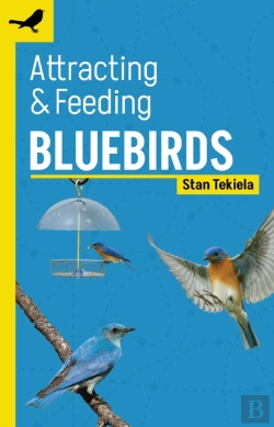 Bertrand.pt - Attracting & Feeding Bluebirds