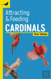 Attracting & Feeding Cardinals