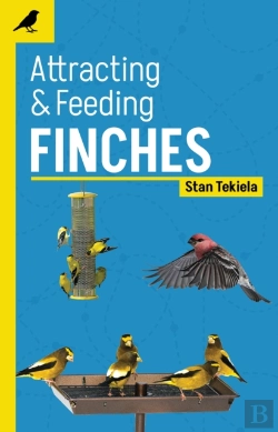 Bertrand.pt - Attracting & Feeding Finches