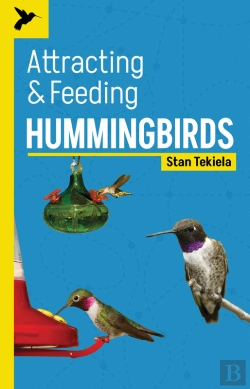 Bertrand.pt - Attracting & Feeding Hummingbirds