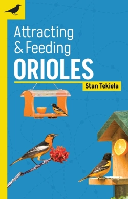 Bertrand.pt - Attracting & Feeding Orioles
