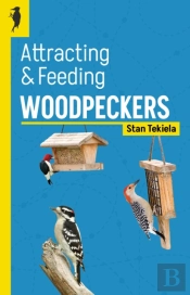 Attracting & Feeding Woodpeckers