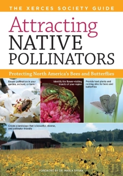 Bertrand.pt - Attracting Native Pollinators