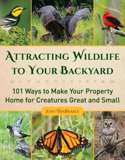 Bertrand.pt - Attracting Wildlife To Your Backyard