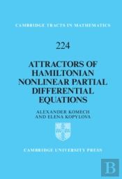 Attractors Of Hamiltonian Nonlinear Partial Differential Equations