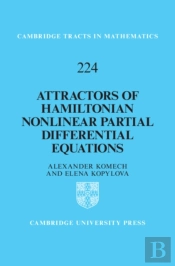 Attractors Of Hamiltonian Nonlinear Partial Differential Equations