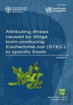 Attributing Illness Caused By Shiga Toxin-Producing Escherichia Coli (Stec) To Specific Foods