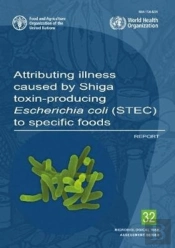 Attributing Illness Caused By Shiga Toxin-Producing Escherichia Coli (Stec) To Specific Foods