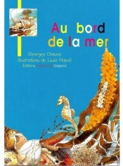 Au Bord De La Mer