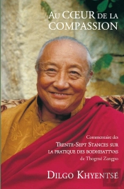 Au Coeur De La Compassion