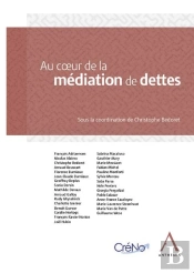 Au Coeur De La Médiation De Dettes