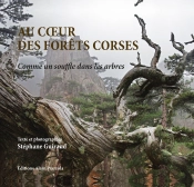 Au Coeur Des Forêts Corses : Comme Un Souffle Dans Les Arbres