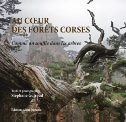 Bertrand.pt - Au Coeur Des Forêts Corses : Comme Un Souffle Dans Les Arbres