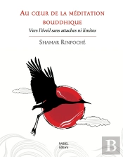 Au C½Ur De La Meditation Bouddhique