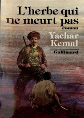 Au-Dela De La Montagne - Iii - L'Herbe Qui Ne Meurt Pas