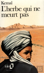 Au-Dela De La Montagne - Iii - L'Herbe Qui Ne Meurt Pas
