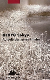 Au-Delà Des Terres Infinies