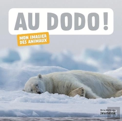 Bertrand.pt - Au Dodo ! Mon Imagier Des Animaux