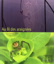 Au Fil Des Araignées