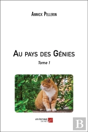 Au Pays Des Genies - Tome 1