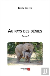 Au Pays Des Genies - Tome 2