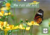 Au Ras Du Sol Calendrier Mural 2018 Din A3 Horizontal