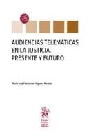 Audiencias Telematicas En La Justicia. Presente Y Futuro
