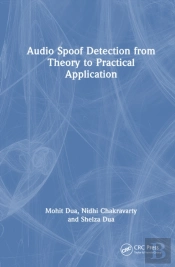 Audio Spoof Detection From Theory To Practical Application