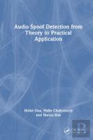 Audio Spoof Detection From Theory To Practical Application