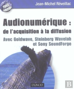 Bertrand.pt - Audionumerique : De L'Acquisition A La Diffusion Avec Goldware, Steinberg, Wavelab Et Sony Soundfo
