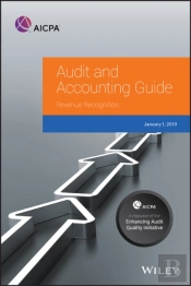 Audit And Accounting Guide
