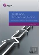 Audit And Accounting Guide