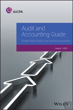Bertrand.pt - Audit And Accounting Guide