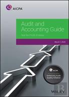 Audit And Accounting Guide
